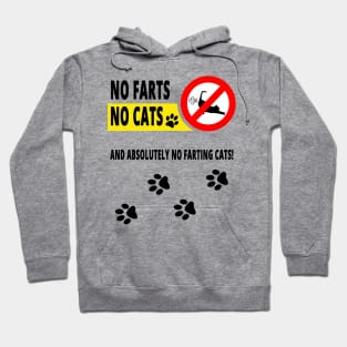 No Farts No Cats and Absolutely no Farting Cats! Hoodie